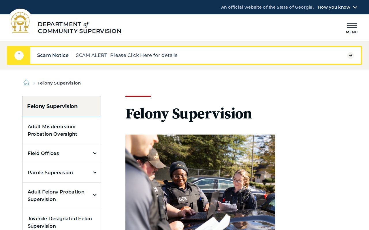 Georgia DCS felony supervision information